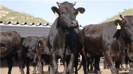 1710294958466614.jpg 微信圖片_20240312101746_副本.jpg